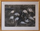 Flamingoes   Conte and Pastel on paper    £750   75cm by 54c