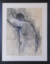 Male Torso  Conte and Pastel  £800  72cm x 55cm